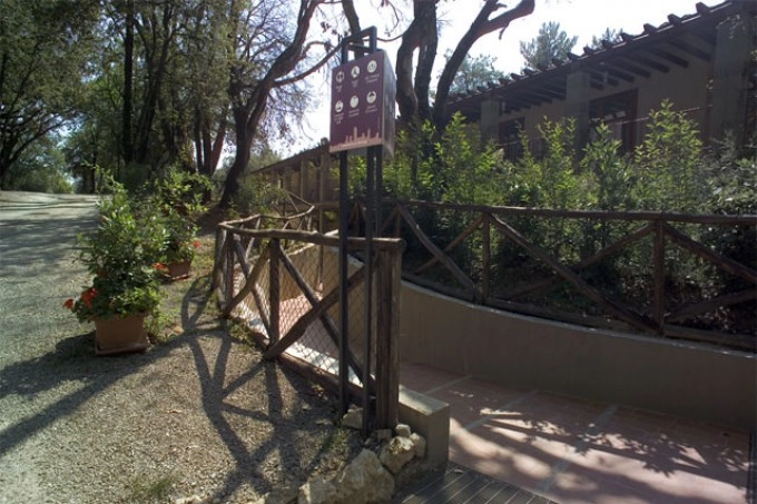 zobacz camping - zdjęcie 25