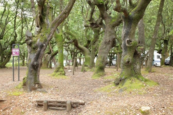 zobacz camping - zdjęcie 6