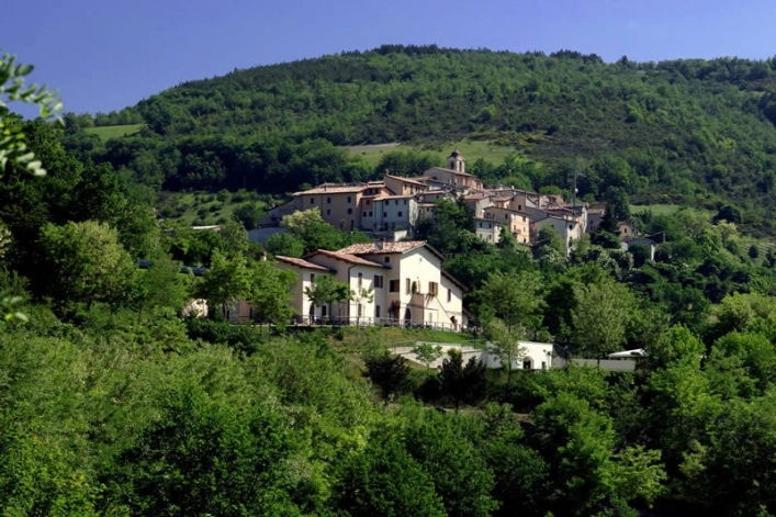 zobacz camping - zdjęcie 9