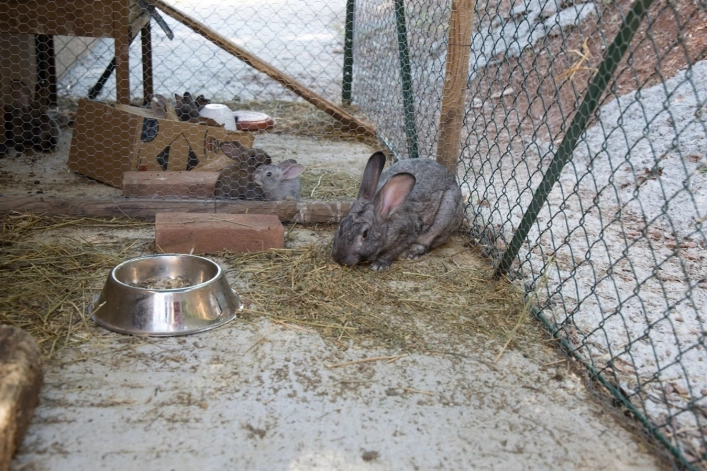 zobacz camping - zdjęcie 19