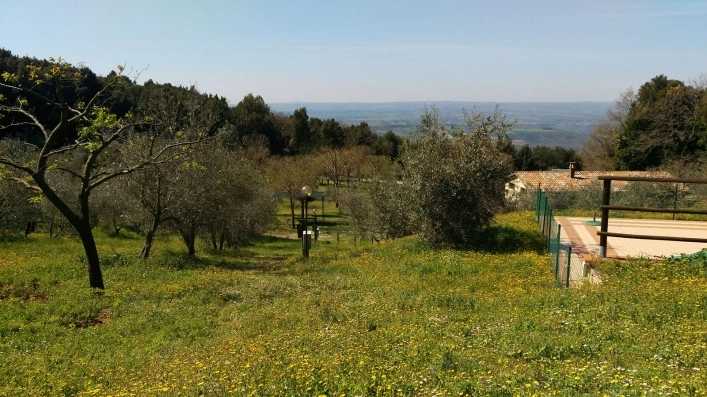 zobacz camping - zdjęcie 13