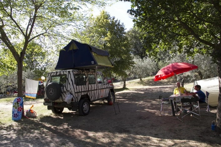 zobacz camping - zdjęcie 11