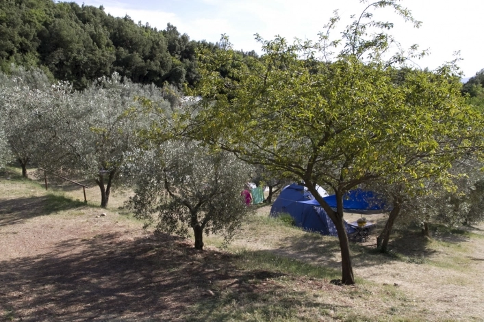 zobacz camping - zdjęcie 9