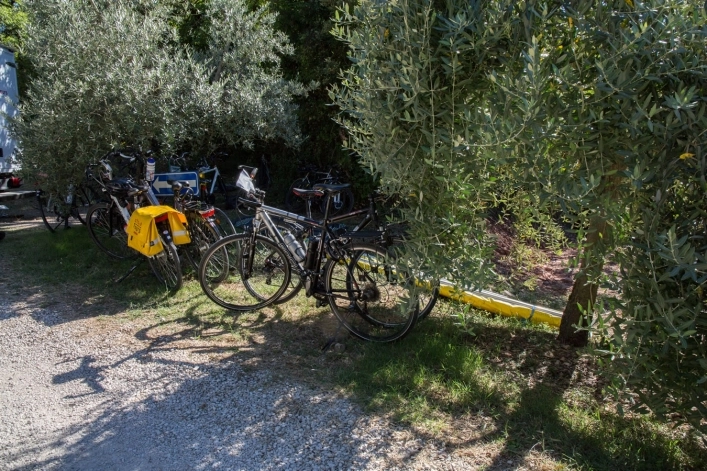 zobacz camping - zdjęcie 5