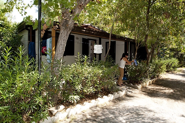 zobacz camping - zdjęcie 9