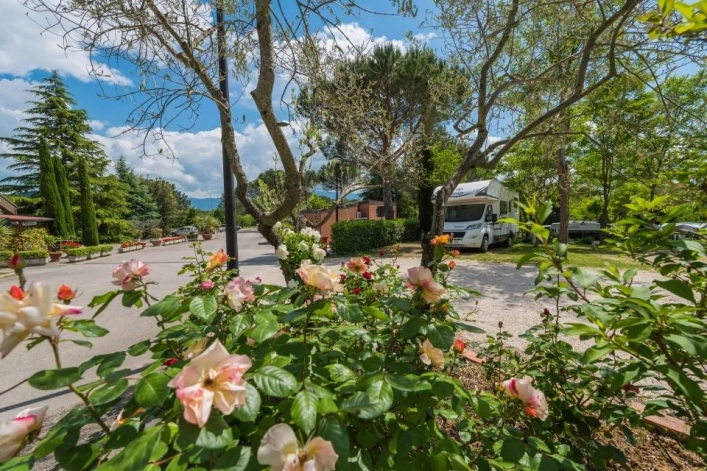 zobacz camping - zdjęcie 36