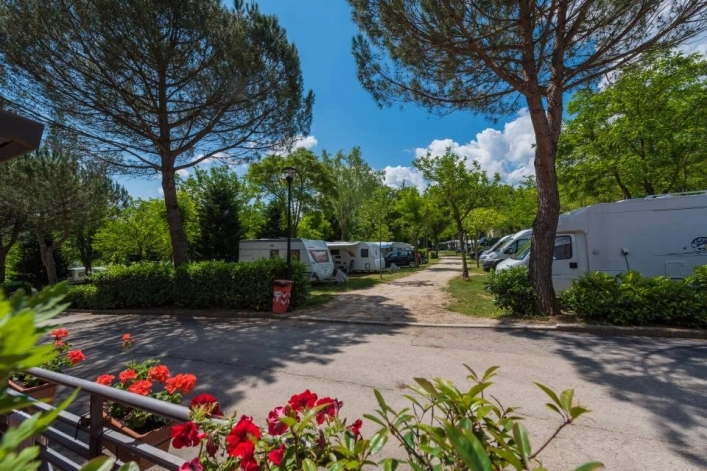 zobacz camping - zdjęcie 35