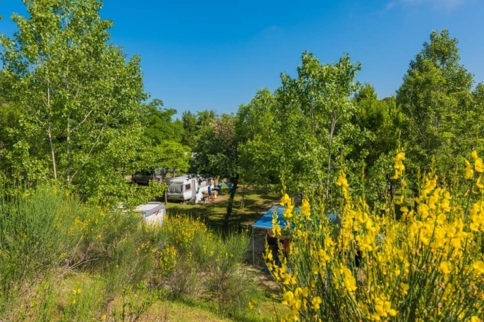 zobacz camping - zdjęcie 13