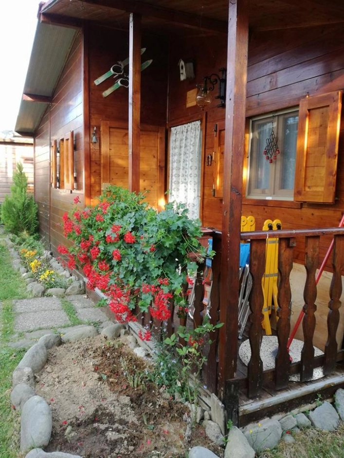 zobacz camping - zdjęcie 21