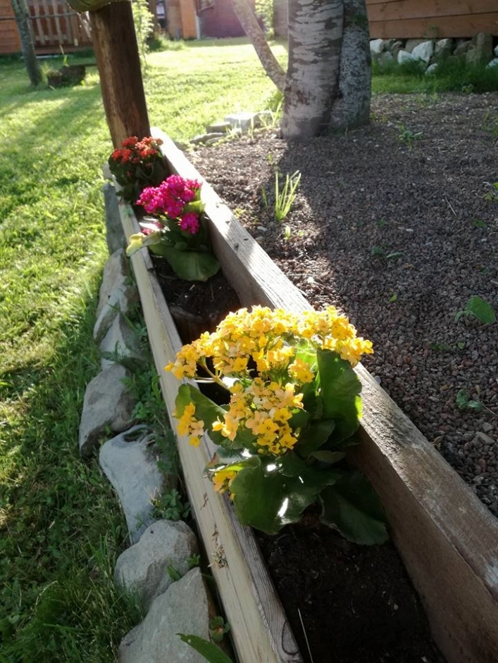 zobacz camping - zdjęcie 19