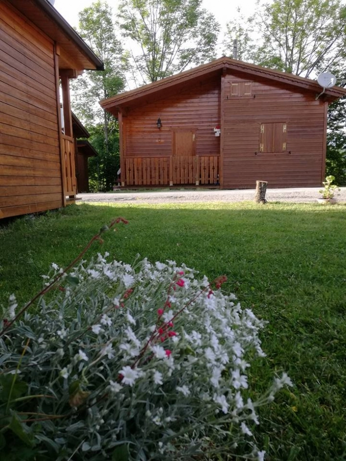 zobacz camping - zdjęcie 18