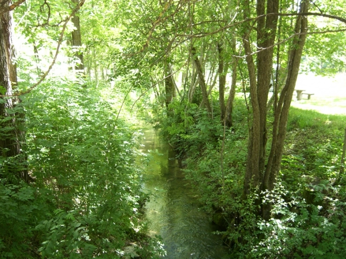 zobacz camping - zdjęcie 8