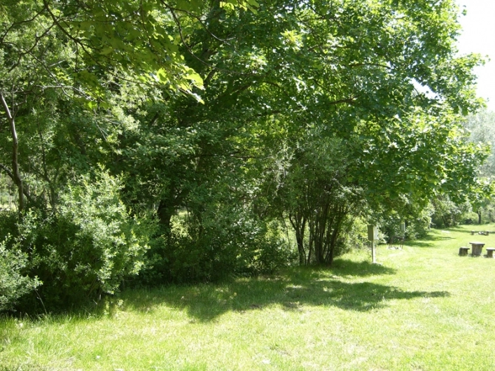 zobacz camping - zdjęcie 7