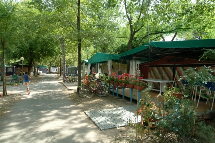 zobacz camping - zdjęcie 40