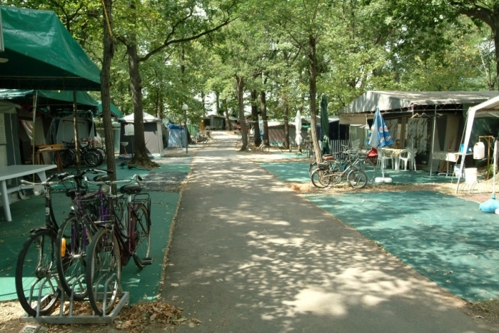 zobacz camping - zdjęcie 38