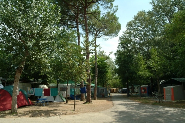 zobacz camping - zdjęcie 37