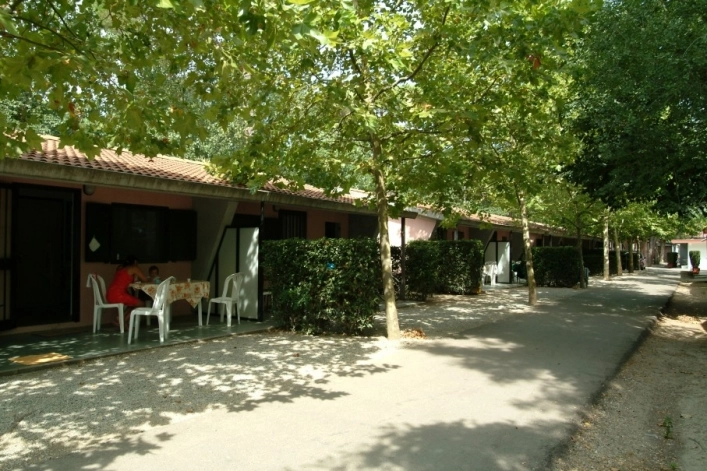 zobacz camping - zdjęcie 22