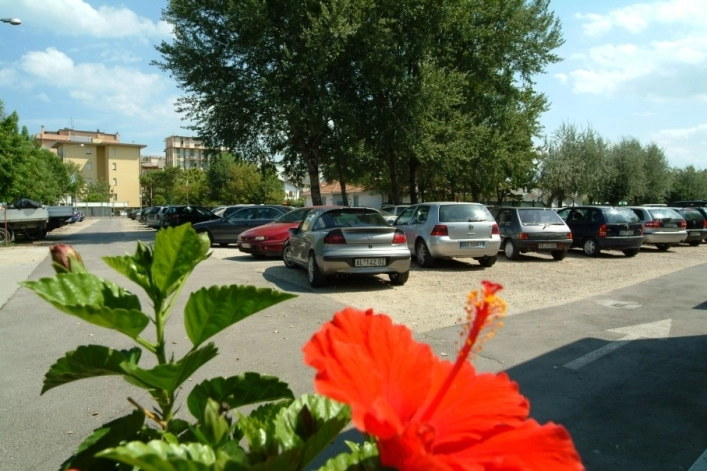 zobacz camping - zdjęcie 21