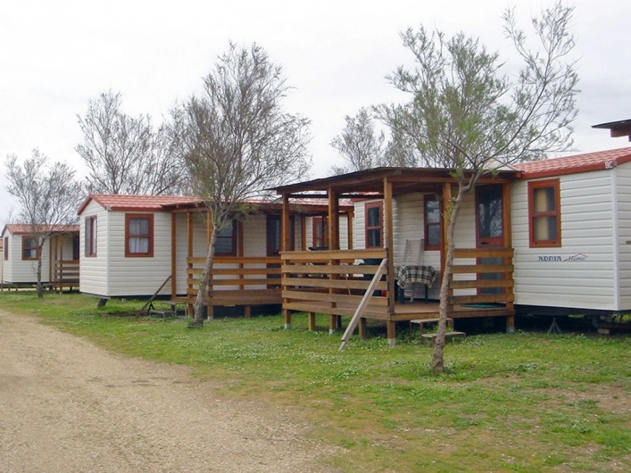 zobacz camping - zdjęcie 20