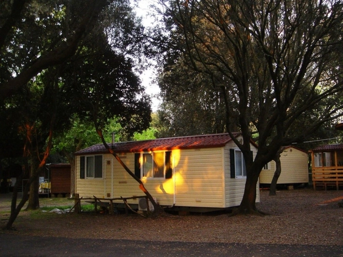 zobacz camping - zdjęcie 14