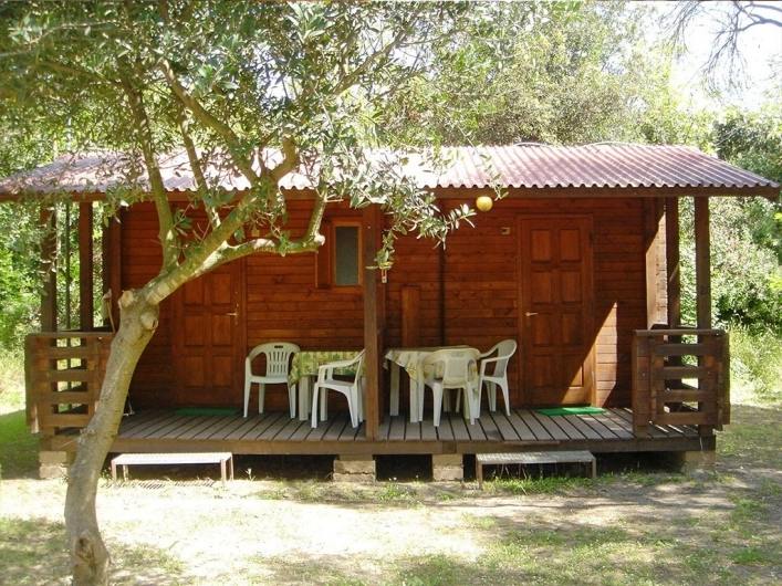 zobacz camping - zdjęcie 8