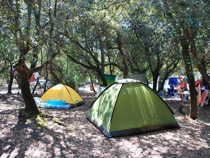 zobacz camping - zdjęcie 5