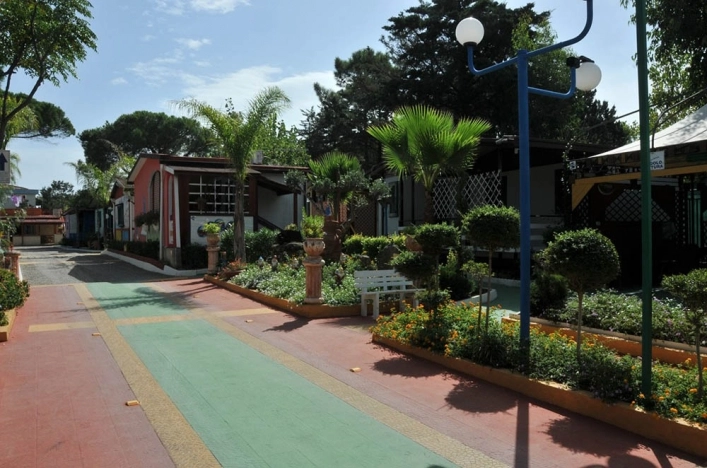 zobacz camping - zdjęcie 33