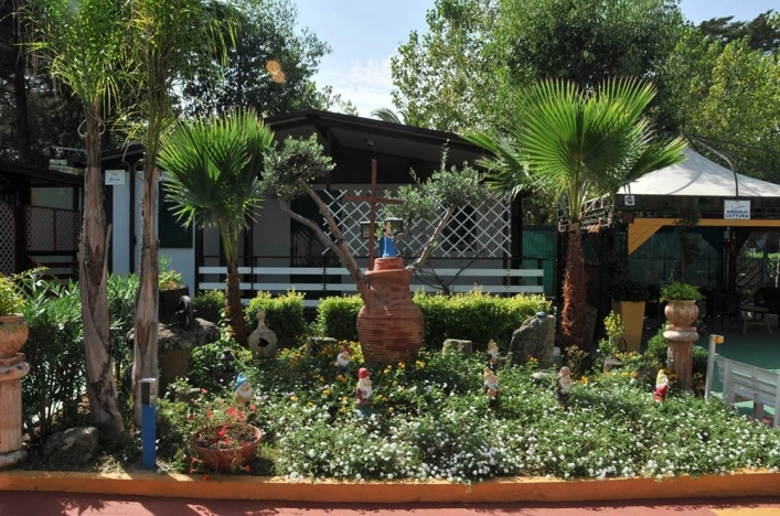 zobacz camping - zdjęcie 29