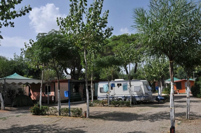 zobacz camping - zdjęcie 14