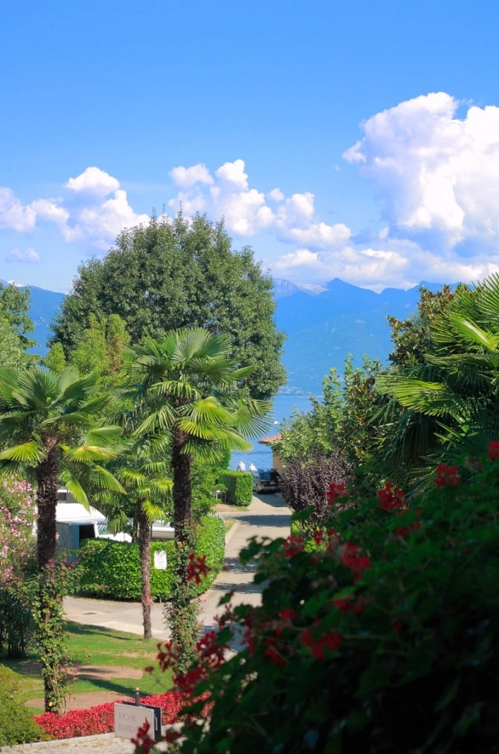 zobacz camping - zdjęcie 31