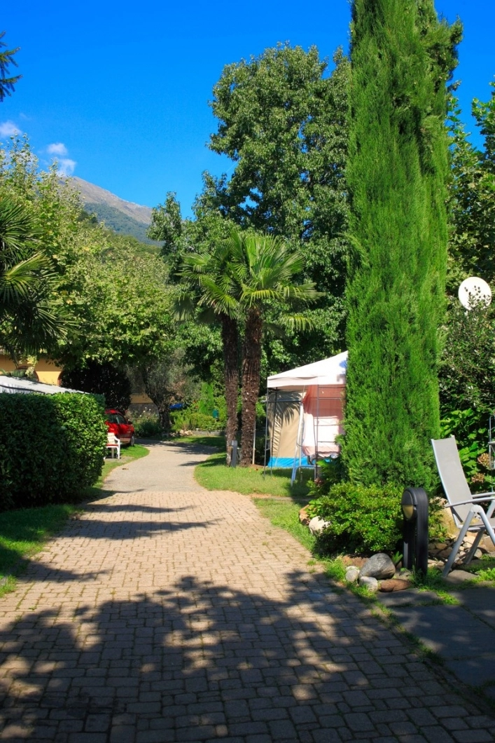 zobacz camping - zdjęcie 29