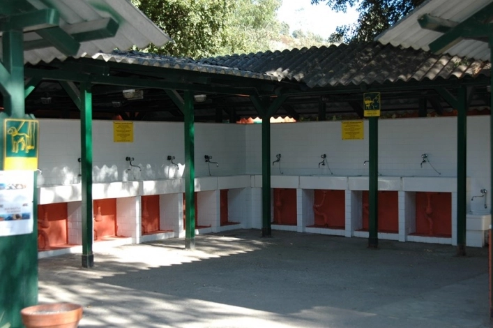 zobacz camping - zdjęcie 25