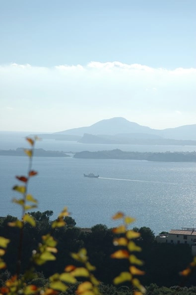 zobacz camping - zdjęcie 21