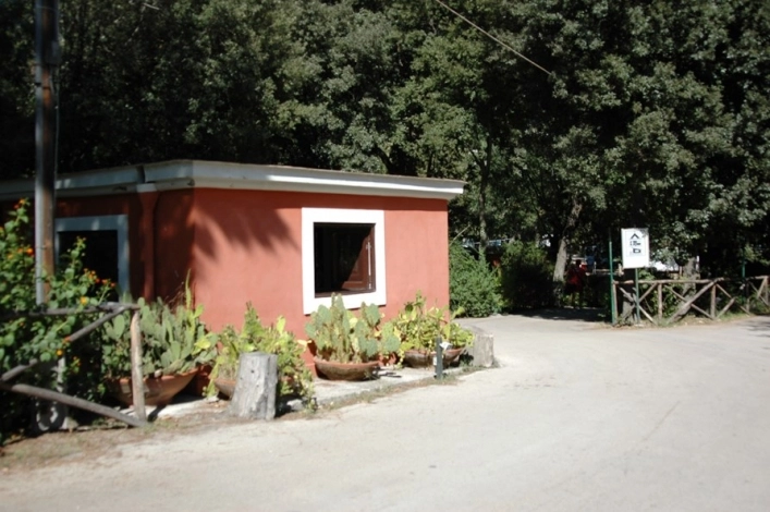 zobacz camping - zdjęcie 19