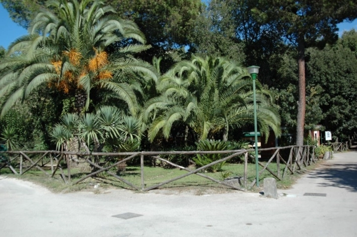 zobacz camping - zdjęcie 17