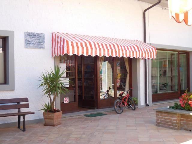 zobacz camping - zdjęcie 11