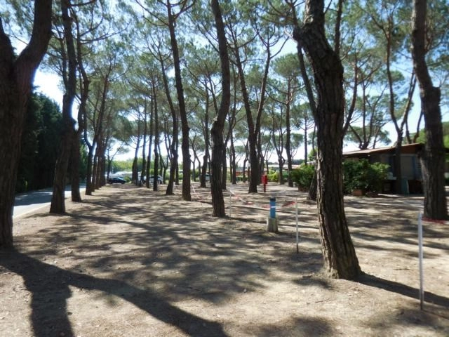 zobacz camping - zdjęcie 8