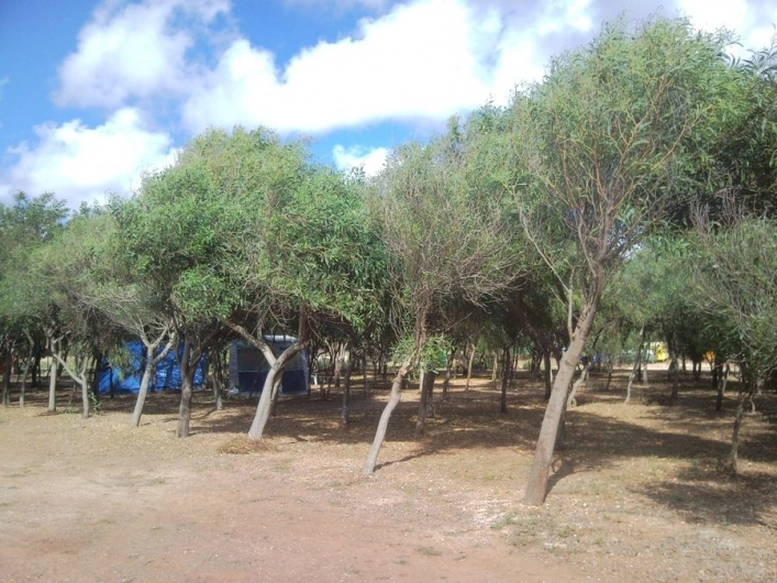 Campeggio Is Aruttas - zdjęcie 4