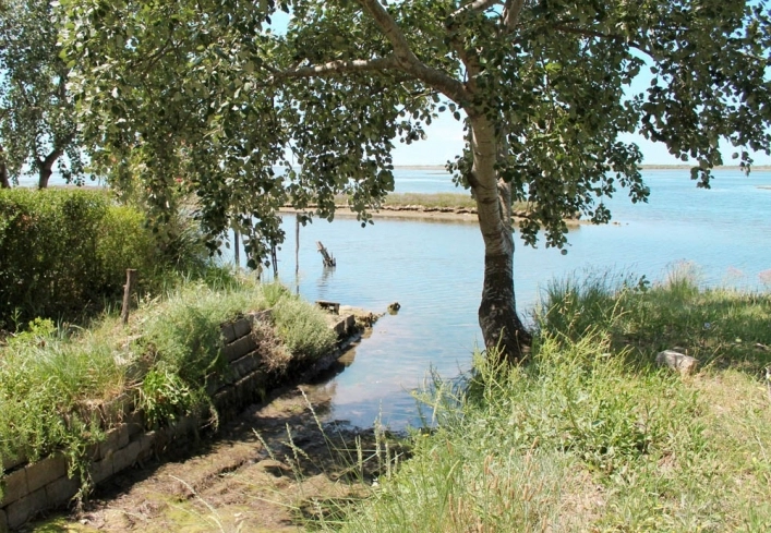 zobacz camping - zdjęcie 6