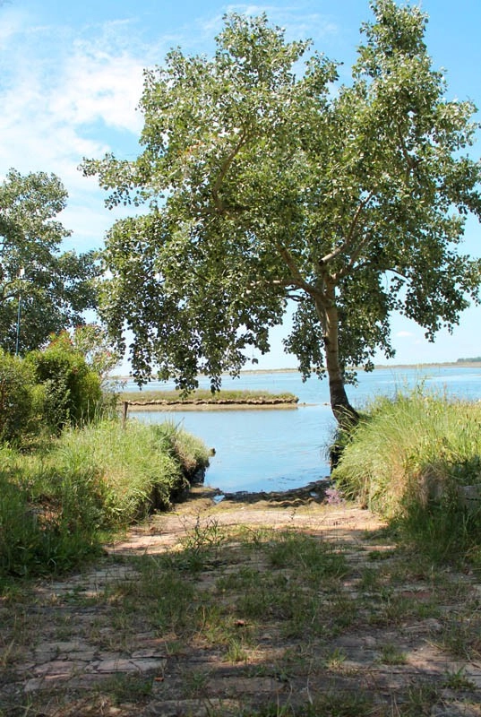 zobacz camping - zdjęcie 5