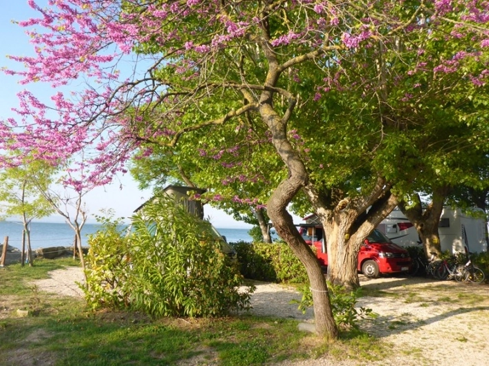 zobacz camping - zdjęcie 4