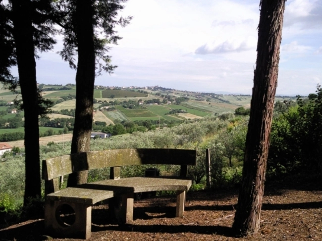 zobacz camping - zdjęcie 13