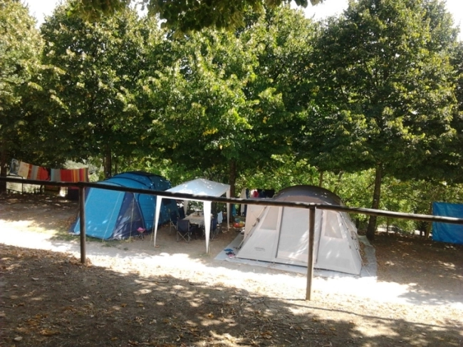 zobacz camping - zdjęcie 11