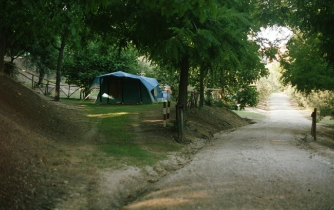 zobacz camping - zdjęcie 7