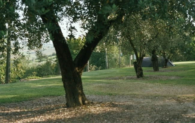 Campeggio 'l Prè - zdjęcie 1