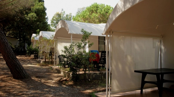 zobacz camping - zdjęcie 42