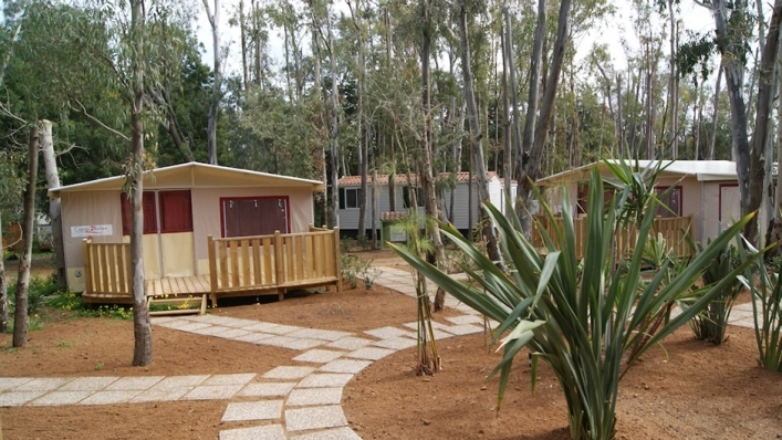 zobacz camping - zdjęcie 21