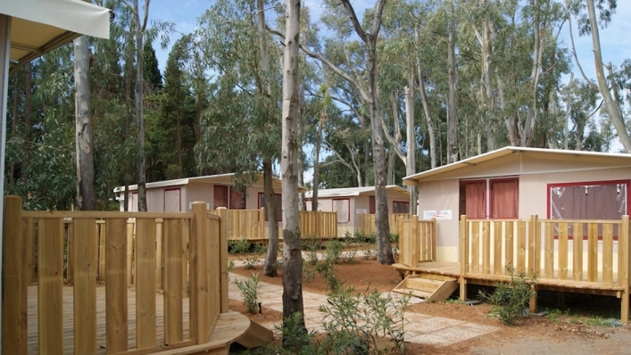 zobacz camping - zdjęcie 2