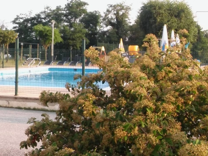 zobacz camping - zdjęcie 8