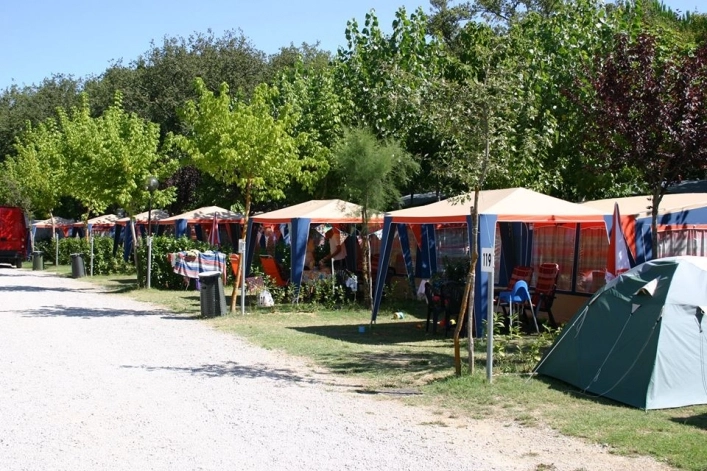 zobacz camping - zdjęcie 26